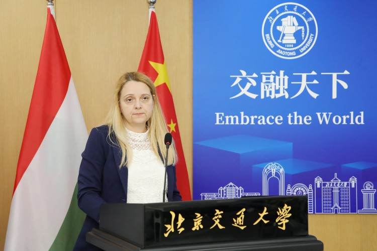 澳彩开奖结果